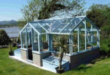 How to Start a Greenhouse Business (Step-by-Step Guide for Beginners)