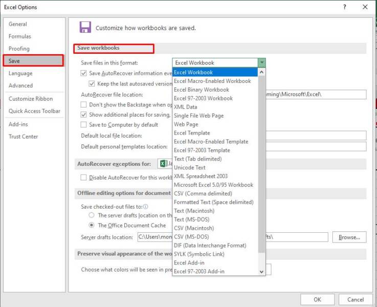 Excel Cannot Open the File because the File Format or File 