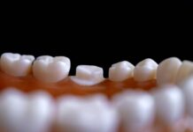Japan’s Tooth Regrowth Drug: How a Real-Life ‘Third Set of Teeth’ Could Replace Implants Forever