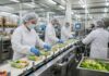 How Food Safety Technology Is Preventing the Next Recall: Lessons from the PT Organic Fruit Pouch Recall
